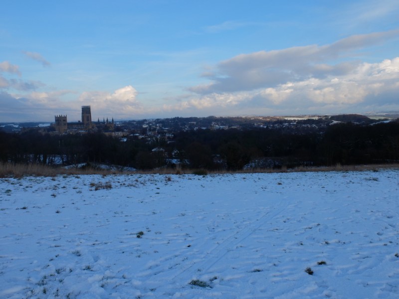 5 Reasons Why You Should Study With David&nbsp;Murray